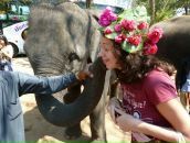 Фотография Чучко Денис