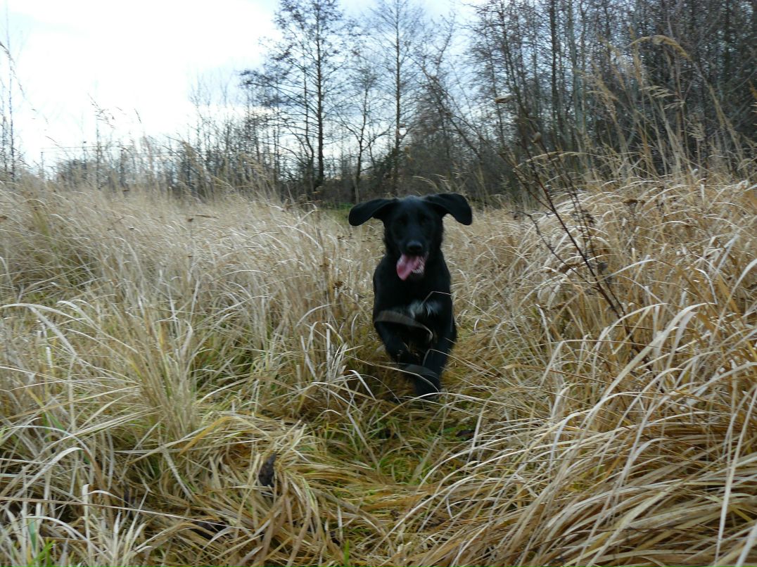 Роман Сидорук фотография #24