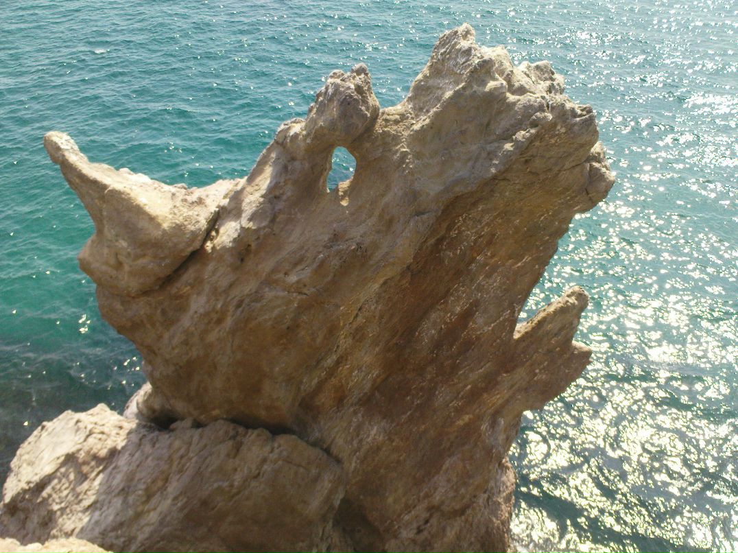 Макс Лунин фотография #16