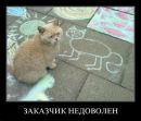 Фотография Колесникова Александра