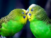 Фотография Венкова Павла