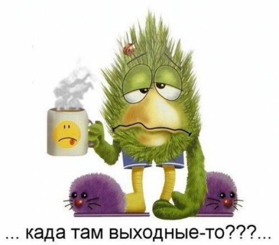 №13, Анастасия Попова, 41 год, Санкт-Петербург №13, Анастасия Попова, 41 год, Санкт-Петербург
