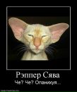 Славік Боднарчук фотография #10 (источник - https://vk.com/id14558816)