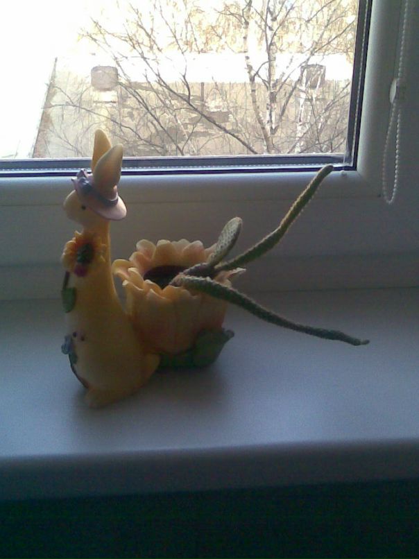 Антон Орлов фотография #20