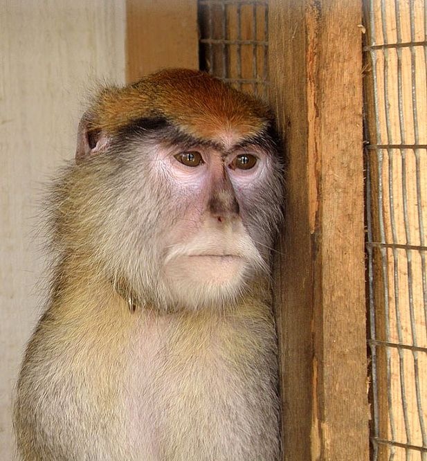 Илюха Синиченко фотография #3