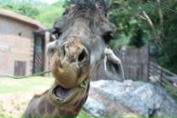 Фотография Чередниченко Натальи