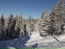 Славік Пилипів фотография #8 (источник - https://vk.com/id63683793)