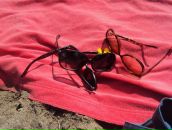 Фотография Машиной Маши