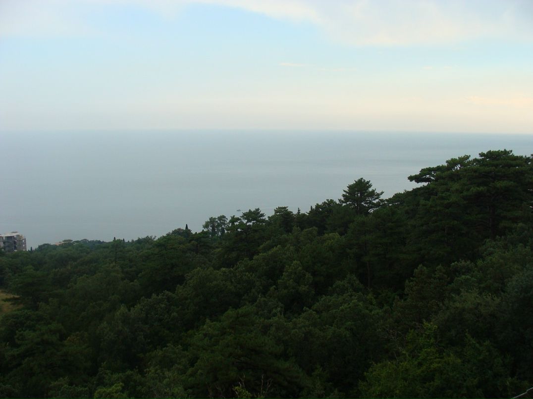 Александр Зиненко фотография #28