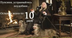 Фотография Асоновой Александры
