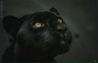 Фотография Римского Владимира