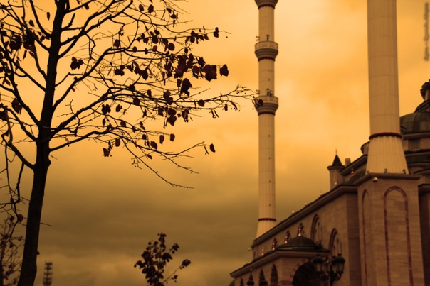 Ij Ij фото №32