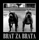 Алік Русин фотография #7 (источник - https://vk.com/id201631891)