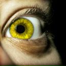 Фотография Малютина Дмитрия