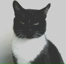 Фотография Карева Дмитрия