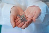 Фотография Замысловой Екатерины