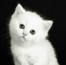 Софійка Андрусів фотография #6 (источник - https://vk.com/id155402957)