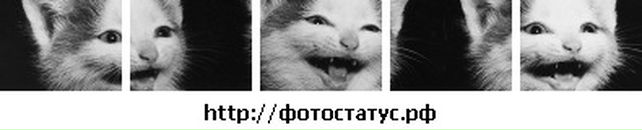 Вікуся Ткач фотография #38 (источник - https://vk.com/id139490164)