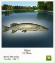 Сергій Незнайко фотография #23 (источник - https://vk.com/id138281469)