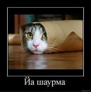 Олег Цебрій фотография #46 (источник - https://vk.com/id12879670)