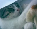 Васька Драпаченко фотография #12 (источник - https://vk.com/id8193180)
