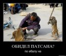 Олександр Олійник фотография #3 (источник - https://vk.com/id175029818)