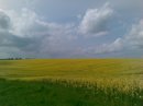 Андрій Покотило фотография #50 (источник - https://vk.com/id12263483)