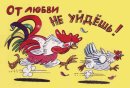 Іван Ковальов фотография #32 (источник - https://vk.com/id56368810)
