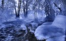 Михаил Фролов фотография #44 (источник - https://vk.com/id2241423)