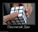 Паша Коляда фотография #25 (источник - https://vk.com/id1762070)