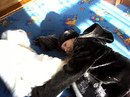 Софійка Ярема фотография #11 (источник - https://vk.com/id162576194)