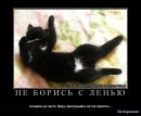 Фотография Байкова Николая