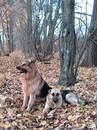 Ярослав Іванишен фотография #22 (источник - https://vk.com/id153989322)