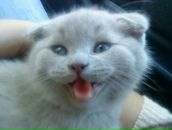 Фотография Terziyan Viktor