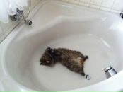 Juan Cruz фотография #16 (источник - https://vk.com/id141836103)