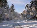 Ігор Грабельський фотография #19 (источник - https://vk.com/id122488304)