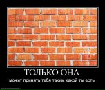 Фотография Селезнёва Артёма