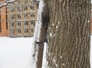 Влад Ахтемійчук фотография #18 (источник - https://vk.com/id161491473)