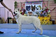 Ярик Сусляк фотография #7 (источник - https://vk.com/id6677792)