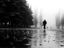 Фотография Abanin Serj
