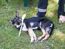 Андрій *-* фотография #1