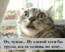 Олег Миколішин фотография #47 (источник - https://vk.com/id167223653)