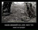 Лілія Тацій фотография #41 (источник - https://vk.com/id5570092)