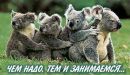 Ігор Маюрніков фотография #35 (источник - https://vk.com/id160687955)