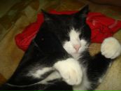 Фотография Маркова Вадима