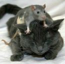 Вікуся Михальчук фотография #13 (источник - https://vk.com/id150740954)