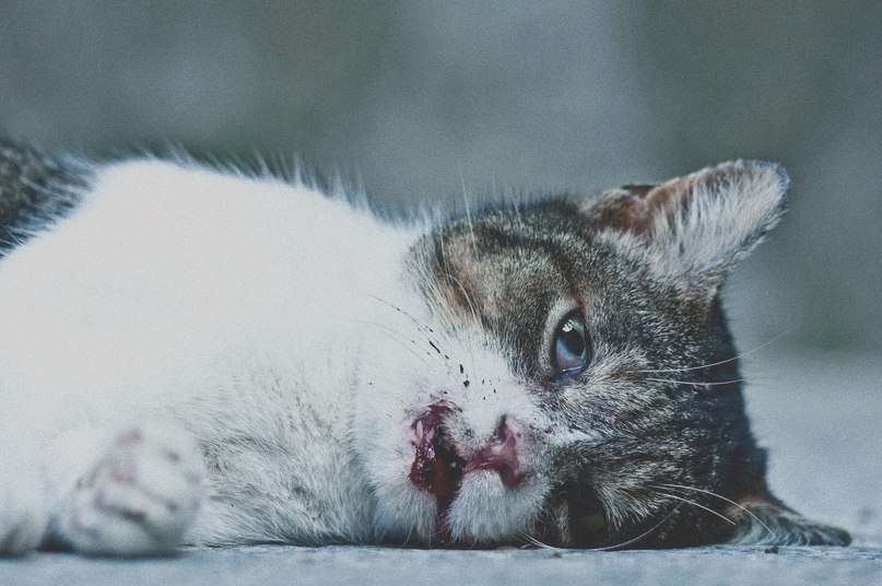 Марина Грант фотография #22