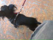 Фотография Чернова Сергея