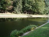 Ігор Носалюк фотография #2 (источник - https://vk.com/id33754899)