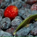 Фотография Чередниченко Надежды